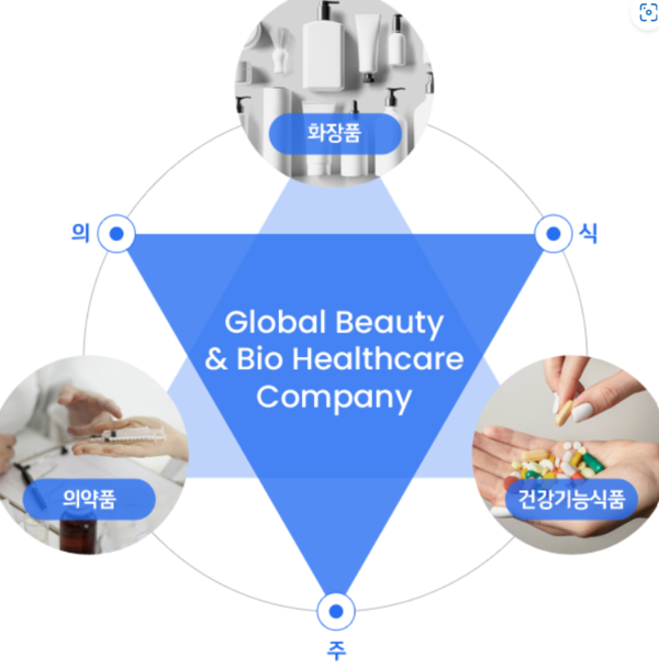  슬롯 사이트의 주력 비즈니스 [사진=슬롯 사이트홀딩스 홈페이지 갈무리]