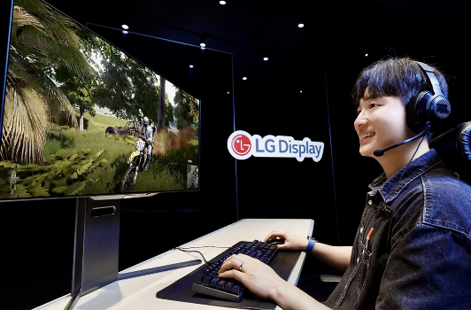 LG디스플레이 제공